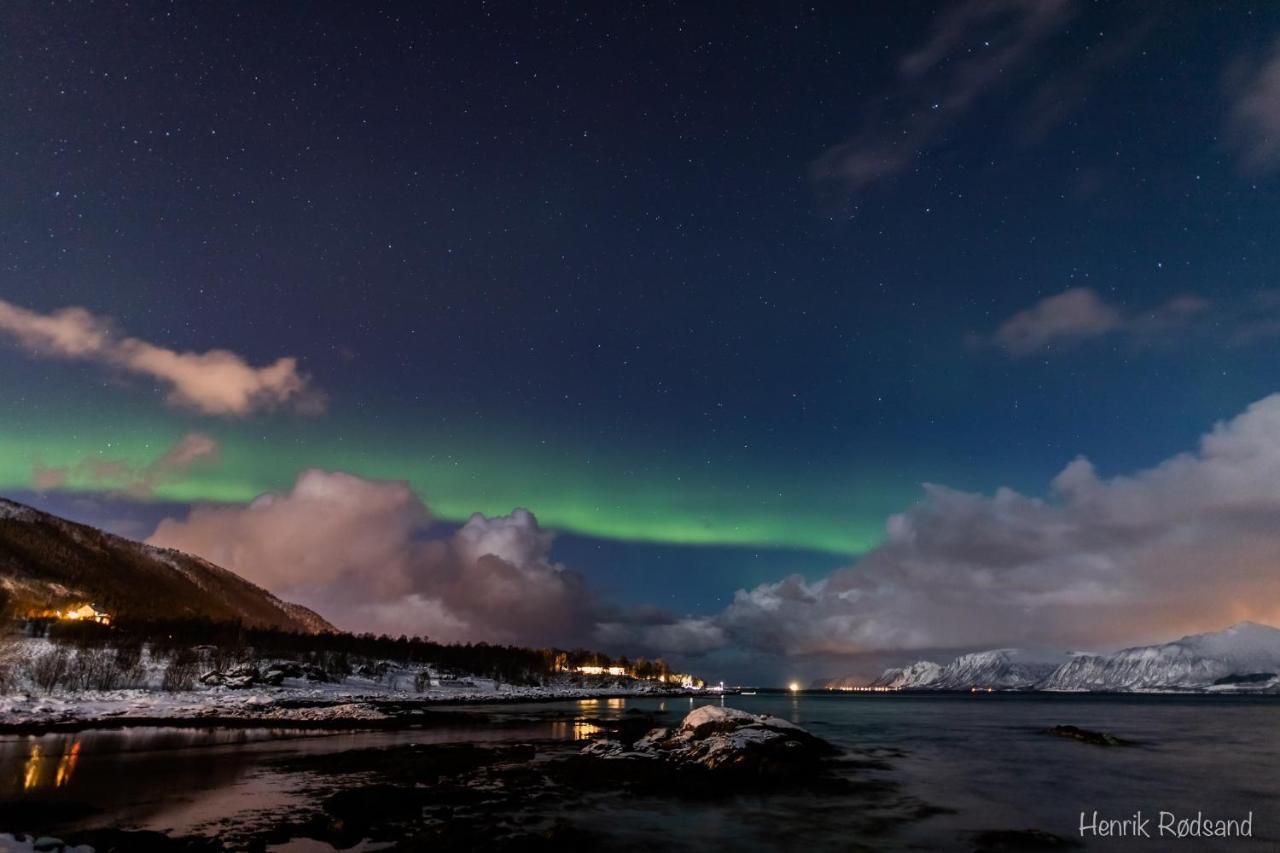 Toftenes Sjohuscamping Alsvåg Eksteriør billede